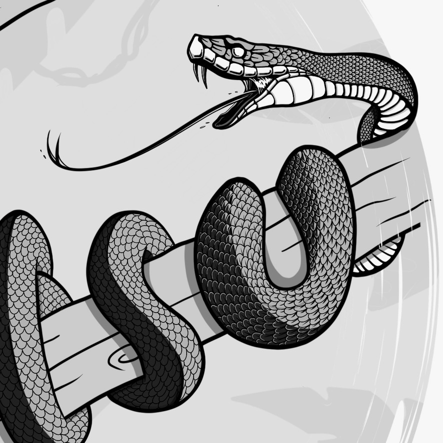 Snake coiled on a branch
