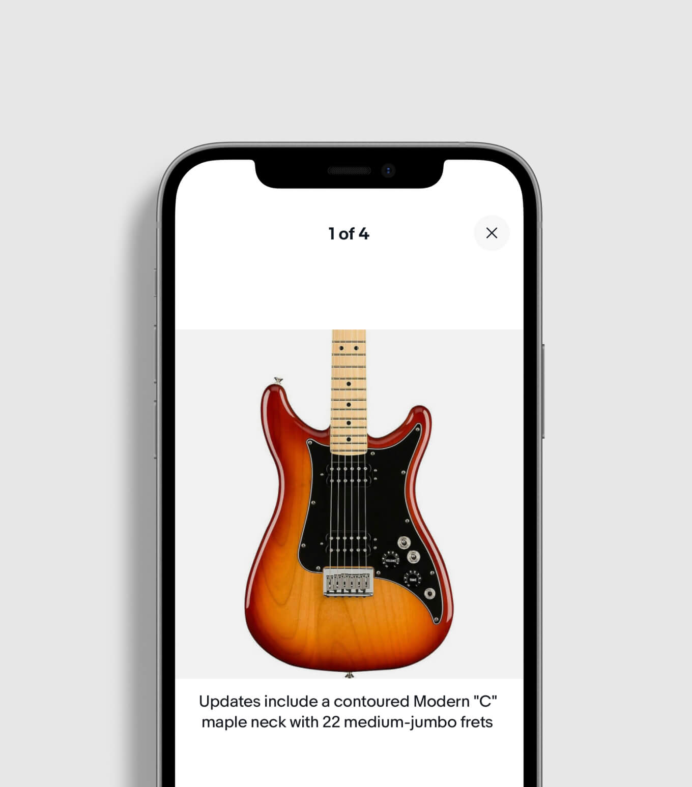 Gallery with item condition captions