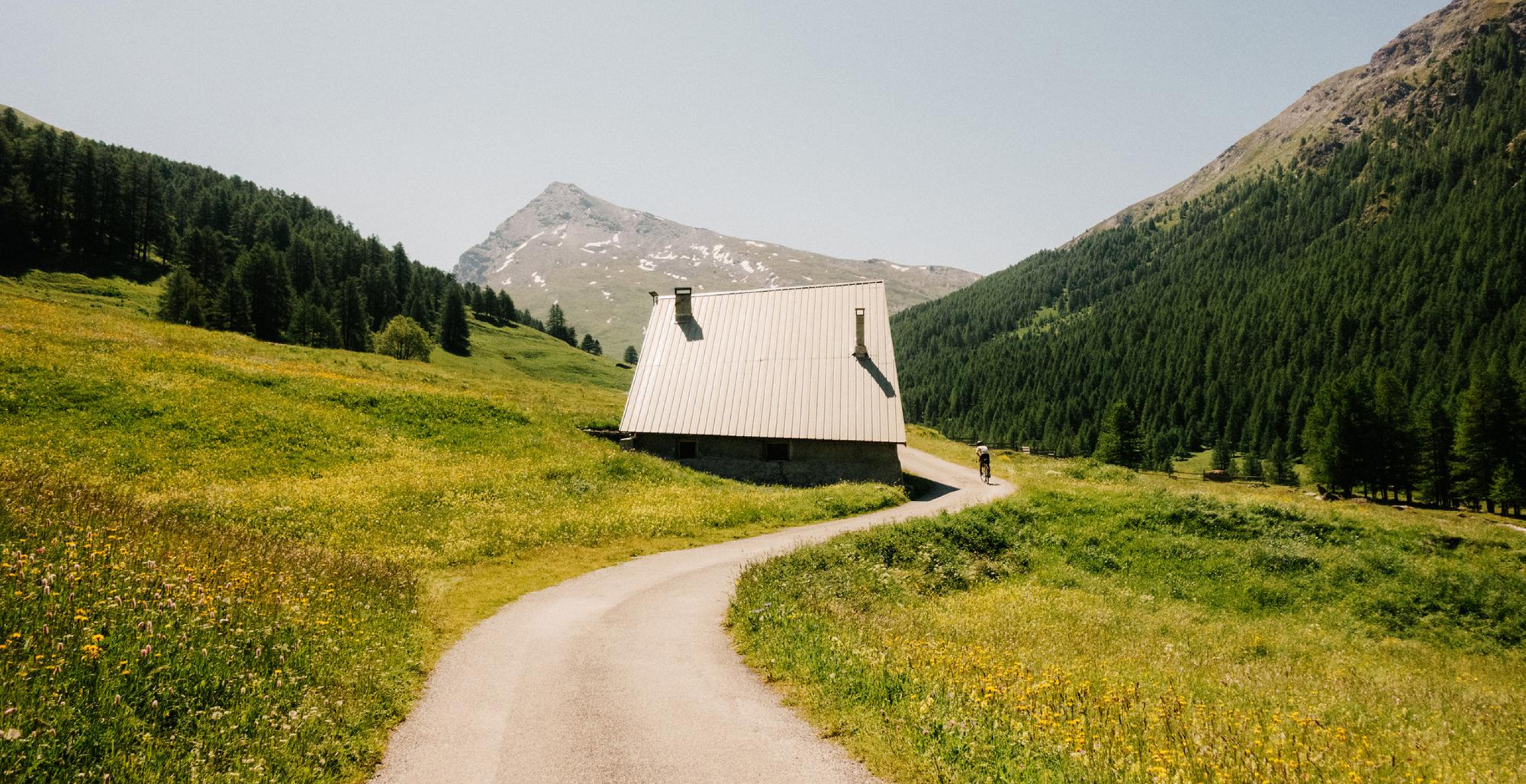 A mountain cabin in a wildflower meadow, with a path leading toward it