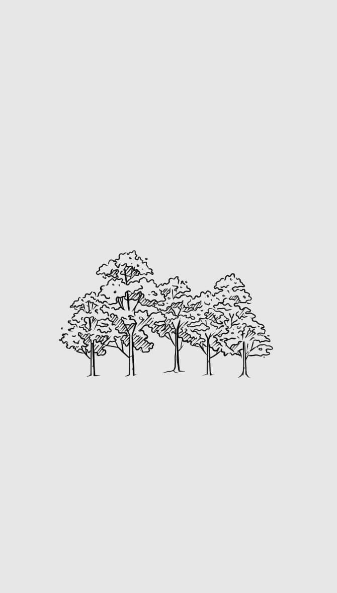 Invitation suite illustration