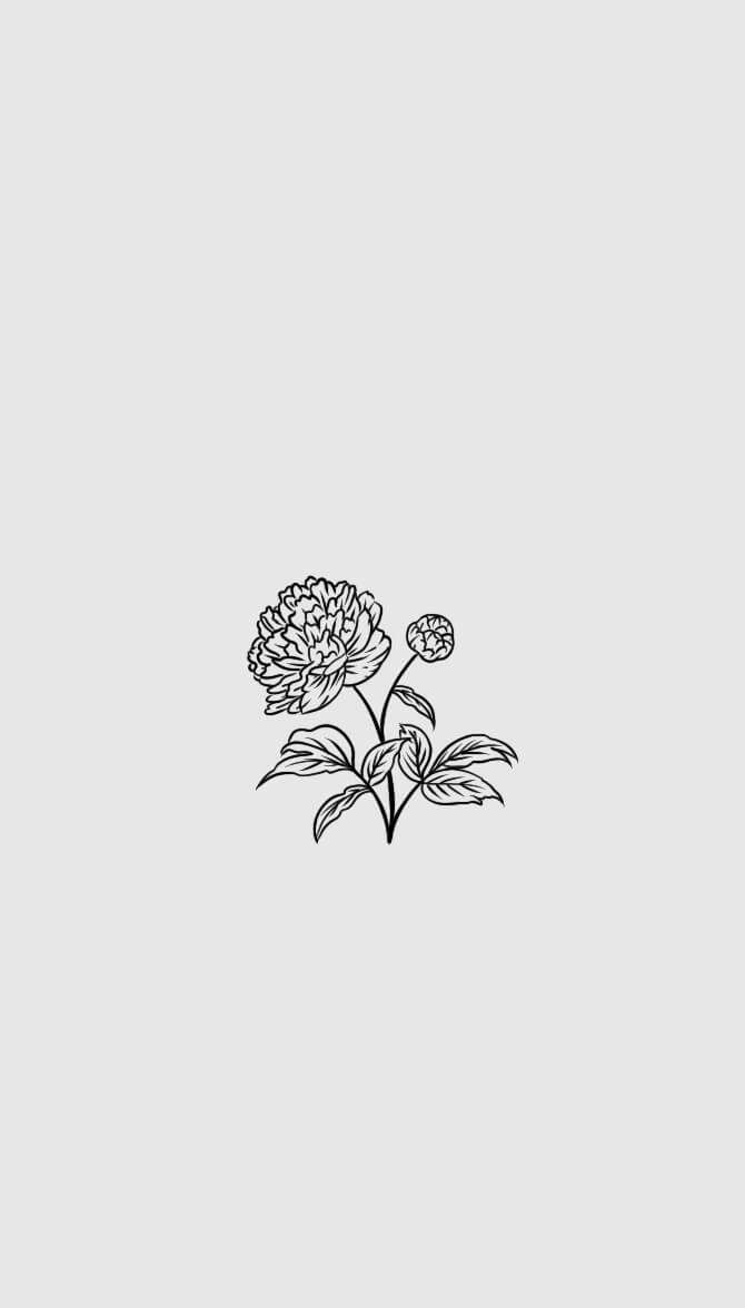Invitation suite illustration