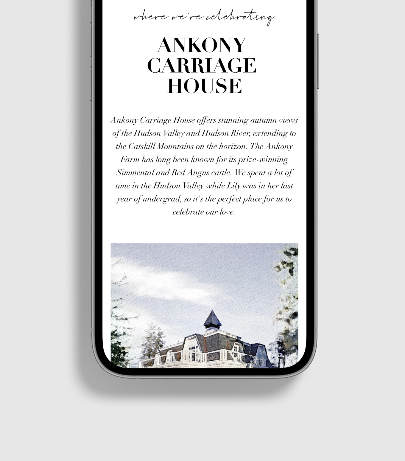 Wedding website mobile close-up
